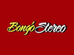 Bongó Stereo en vivo
